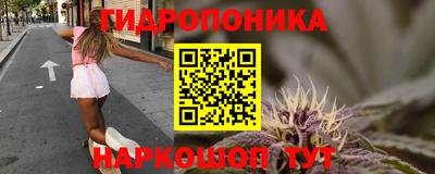 трава Краснодар