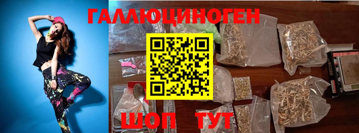 Кирово-Чепецк  Псилоцибиновые грибы Psilocybine cubensis  Вход с VPN 